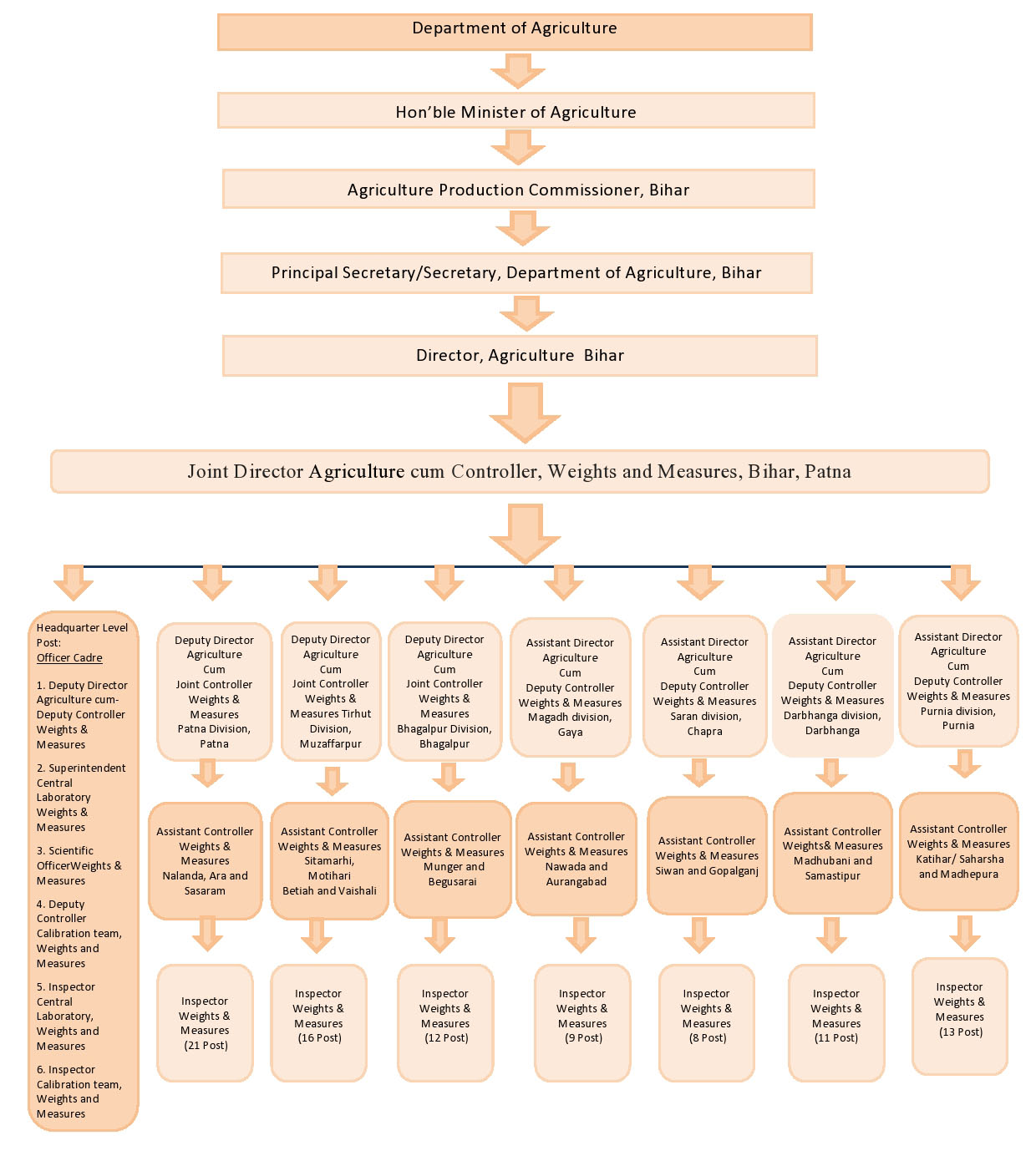 orgChart